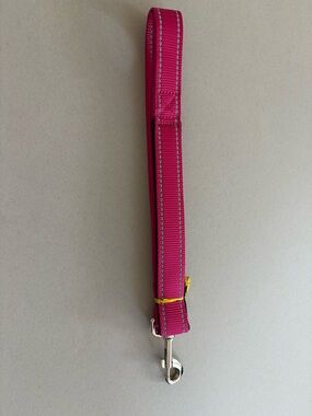 Pink 4 FT Nylon Dog Leash w/Silver Clip, Reflective Stitching & Padded Handle.